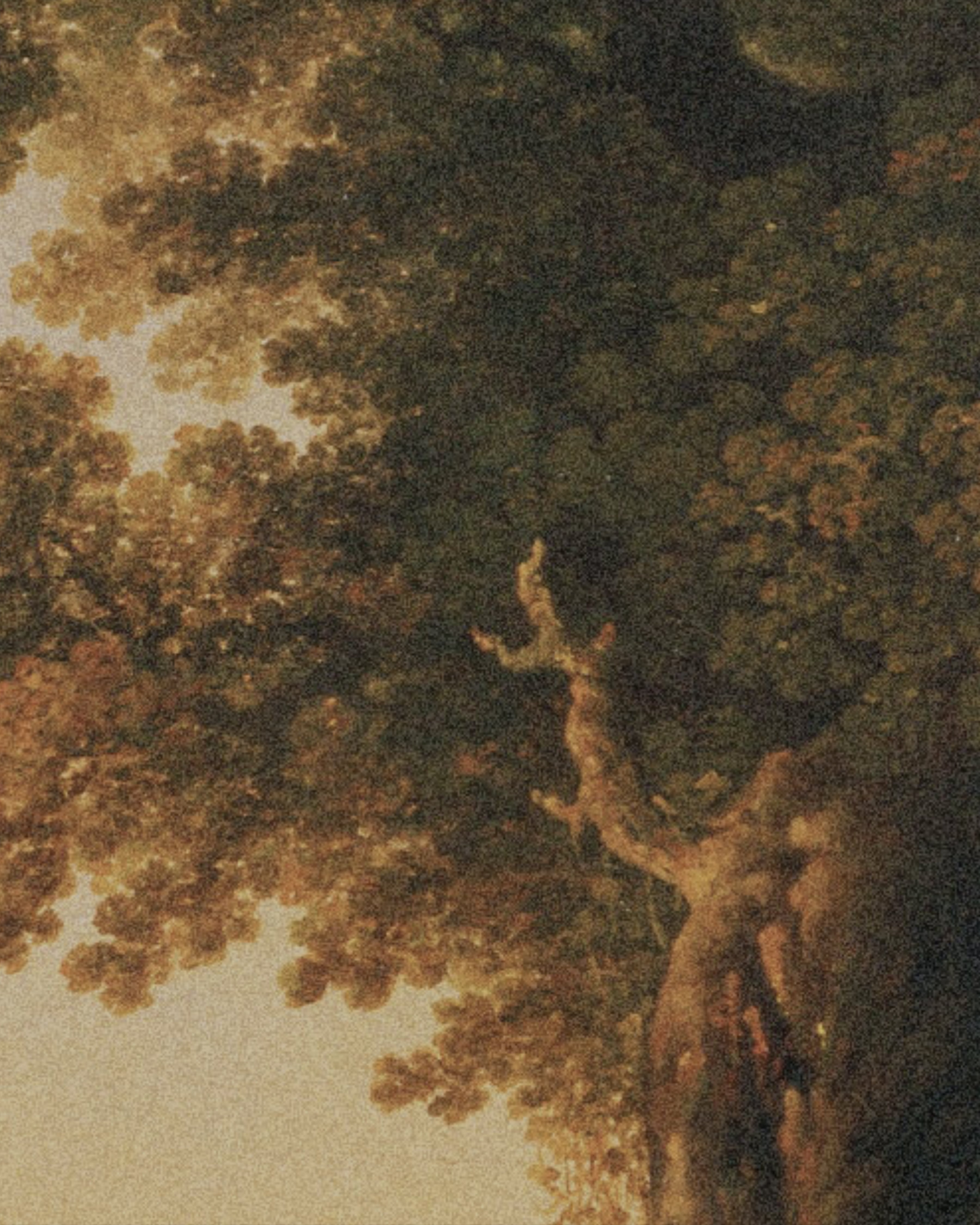 Modern illustration of tree closeup