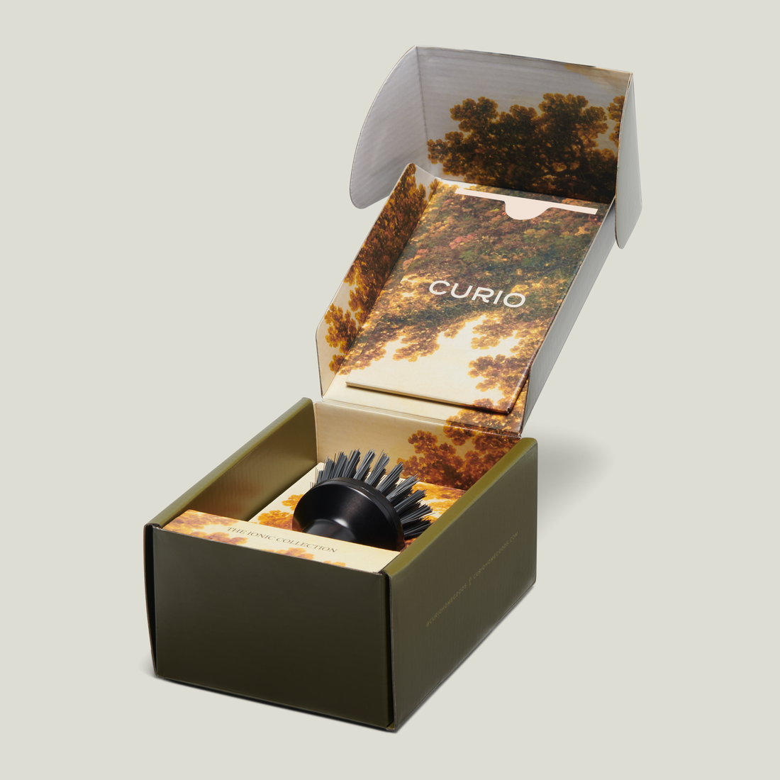 The Ionic Palm Brush Curio Home Goods