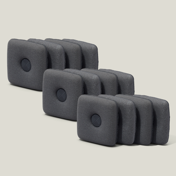 The Ionic Dish Sponge