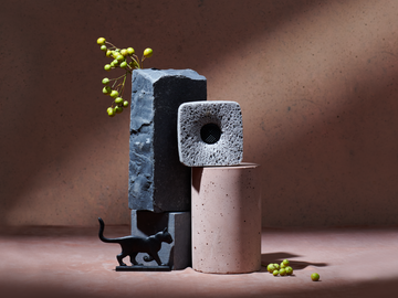 The Ionic Counter Sponge